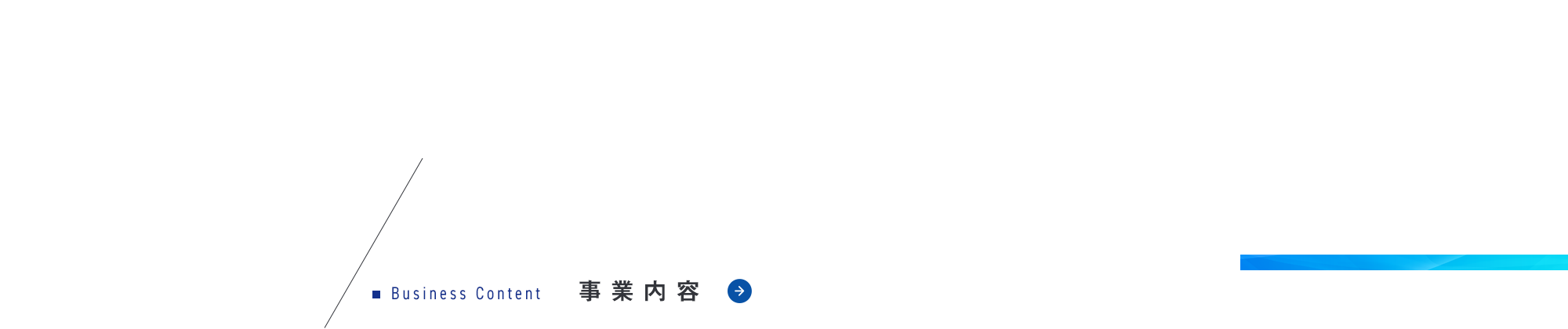 事業内容